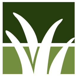 Santa Barbara Lawn Clean Up