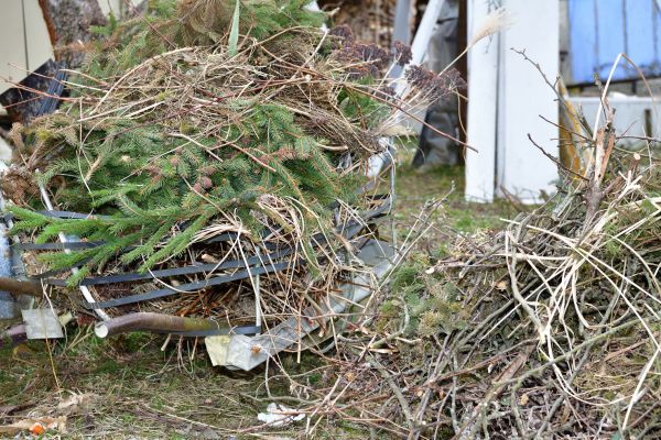 Yard Waste Removal Service in Santa Barbara