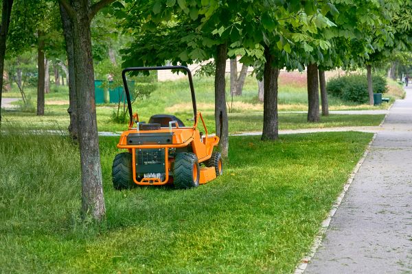 Landscaping Cleanup Service in Santa Barbara