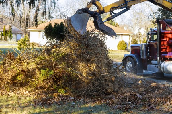 Storm Debris Removal in Santa Barbara