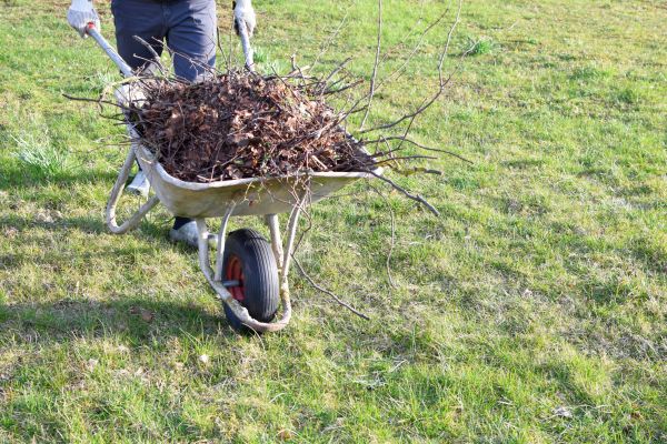 Yard Brush Removal in Santa Barbara