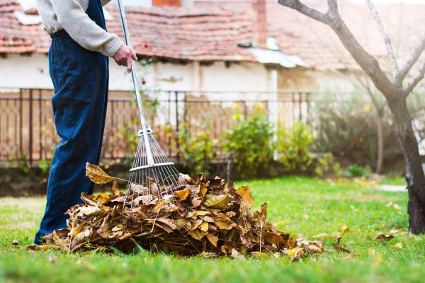 Spring Lawn Cleanup in Santa Barbara