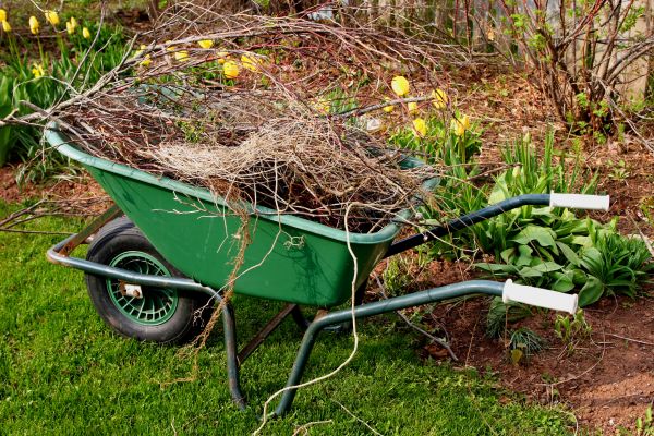 Lawn Waste Removal in Santa Barbara