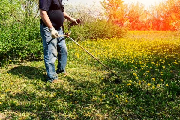 Cost of Yard Clearing Service in Santa Barbara