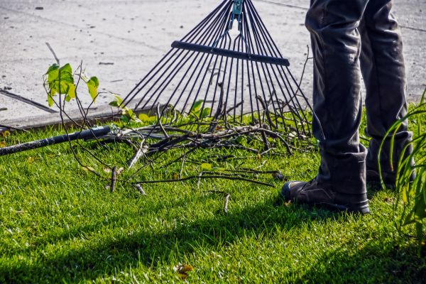 Yard Debris Cleanup in Santa Barbara