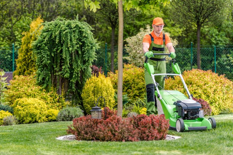 Lawn Equipment in Action